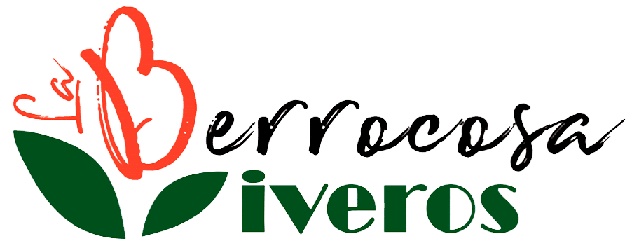 logo-Viveros-La-Berrocosa